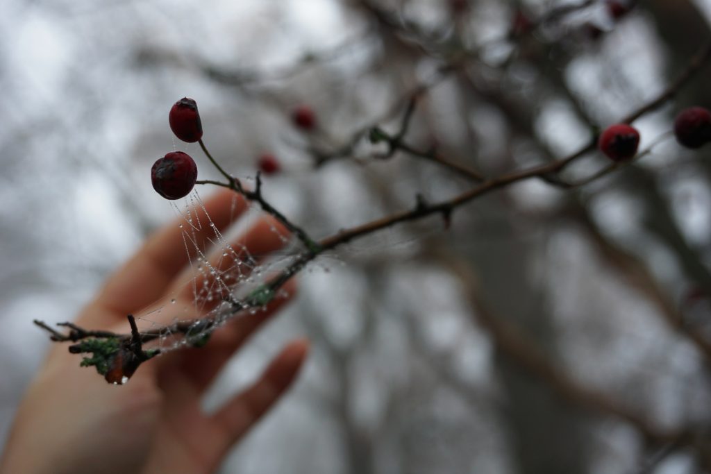 Snow and Clear Quartz symbolize clarity like on a cold winter day.