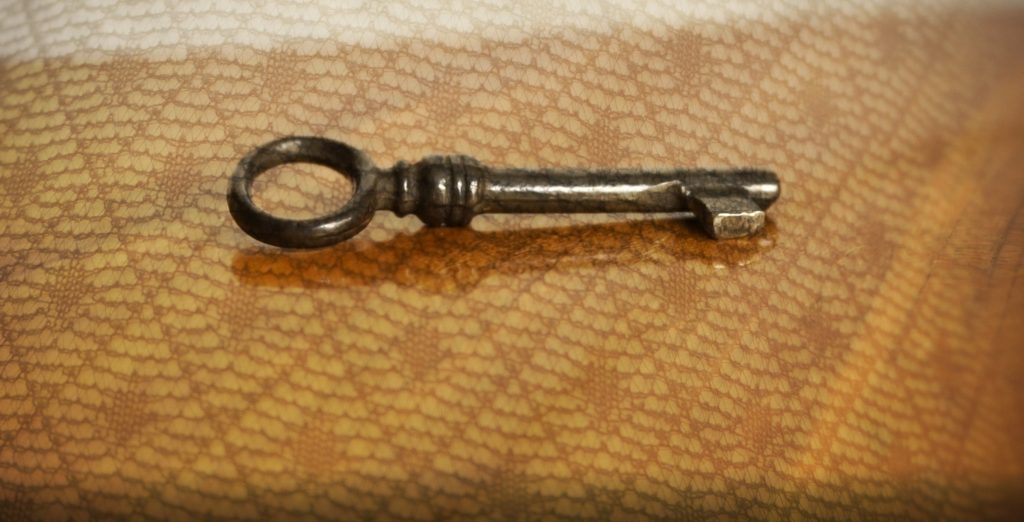 Shadow Work is the key to dismantling your beliefs towards success.