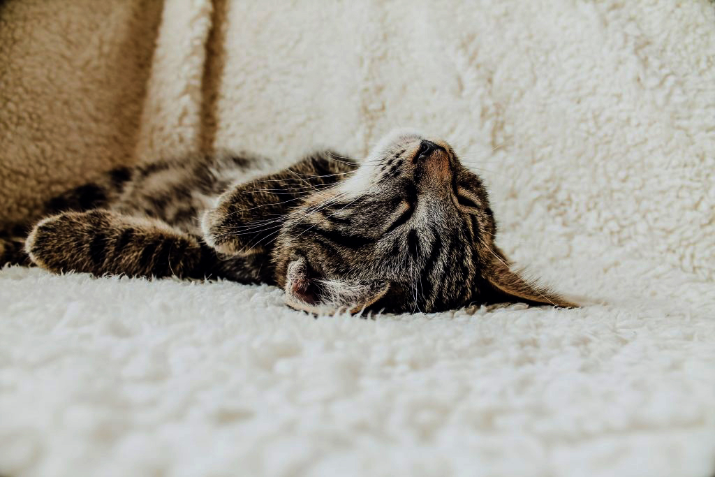 It's important to relax after an intense shadow work session.