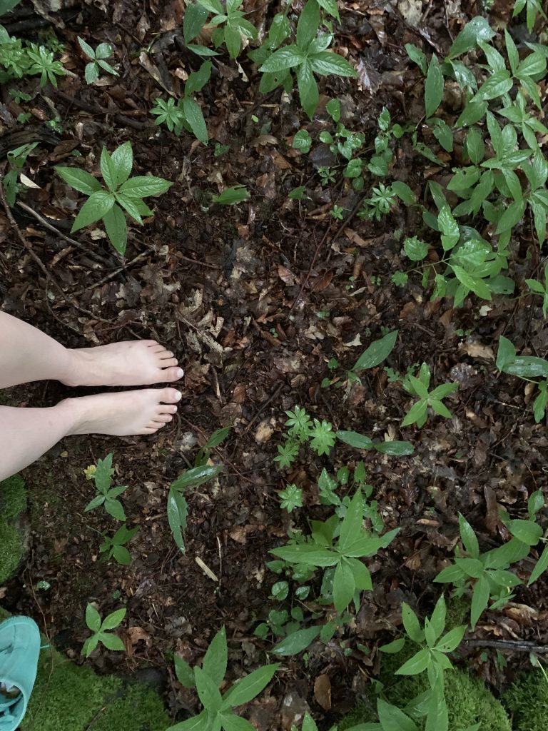 Me standing barefoot in the forest. You only see my feet and the ground.